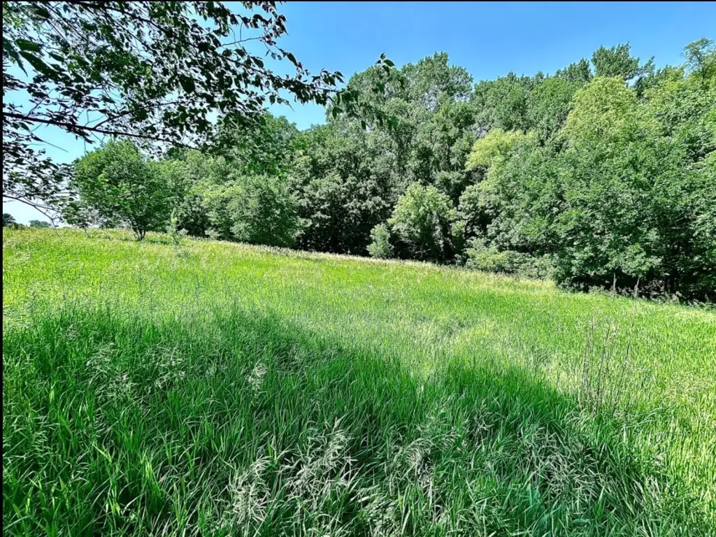 Picture 18