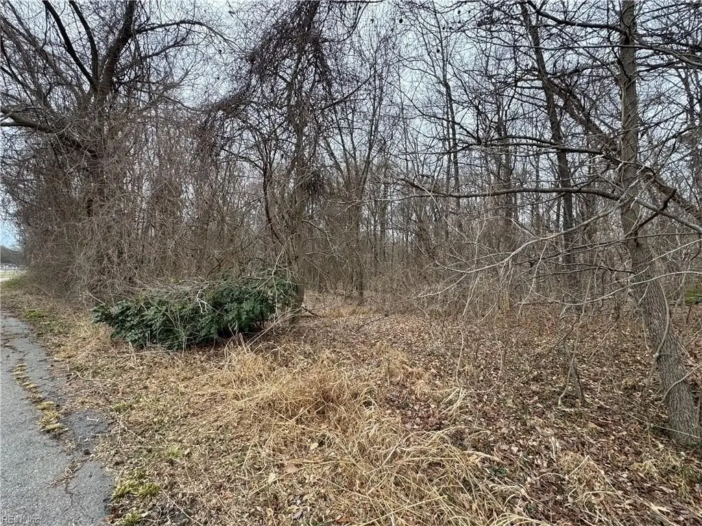 Picture 6