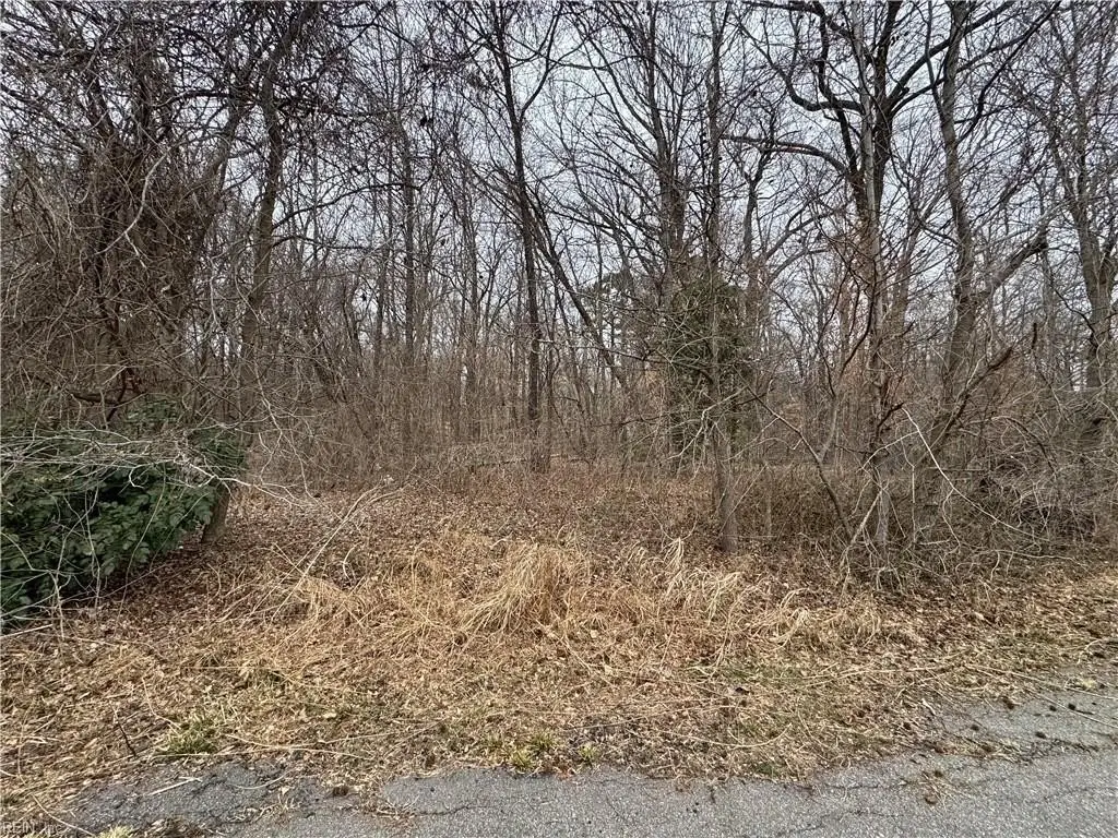Picture 5