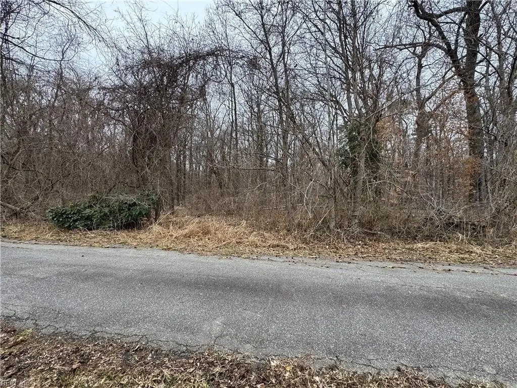 Picture 7