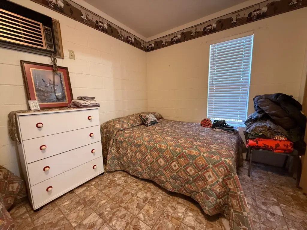 Picture 5