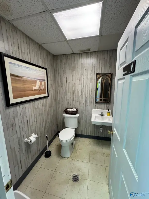 Picture 15