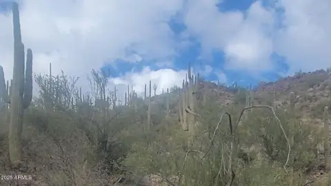 Morristown, AZ - 5 Acre Land