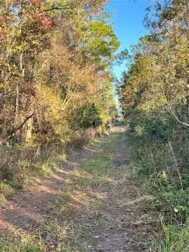 Industrial Land Near I-4 Corridor