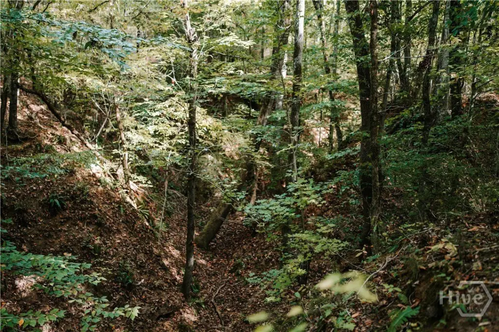 Picture 27