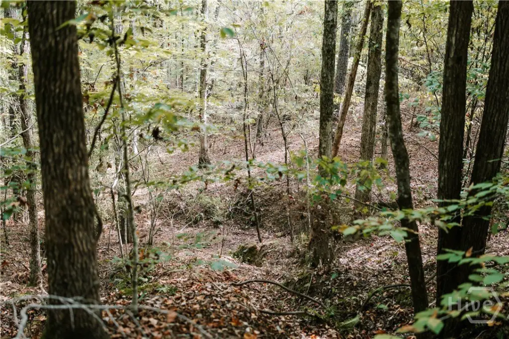 Picture 25
