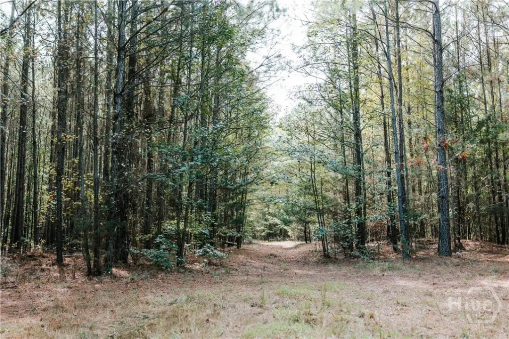 Picture 31