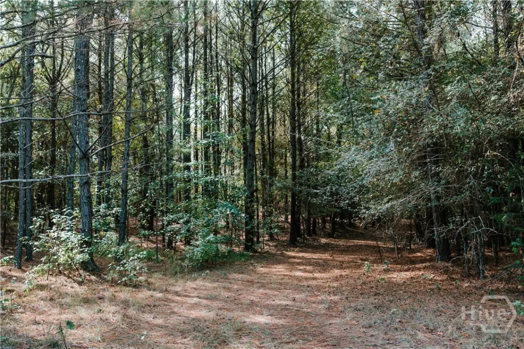 Picture 19