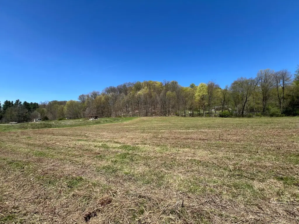 Picture 12