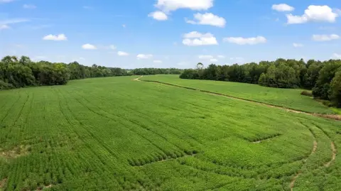 Farmland Opportunity Near Smiths Grove