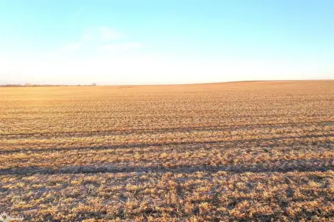 Iowa Farmland Auction - 193.87 Acres