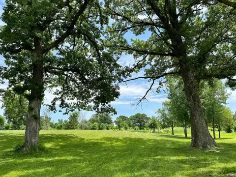 Residential Land with Mature Trees