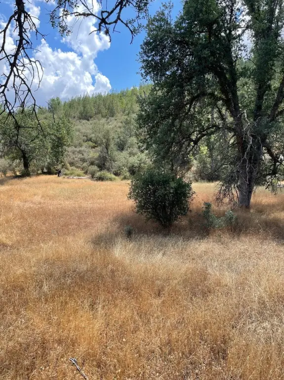 Picture 23