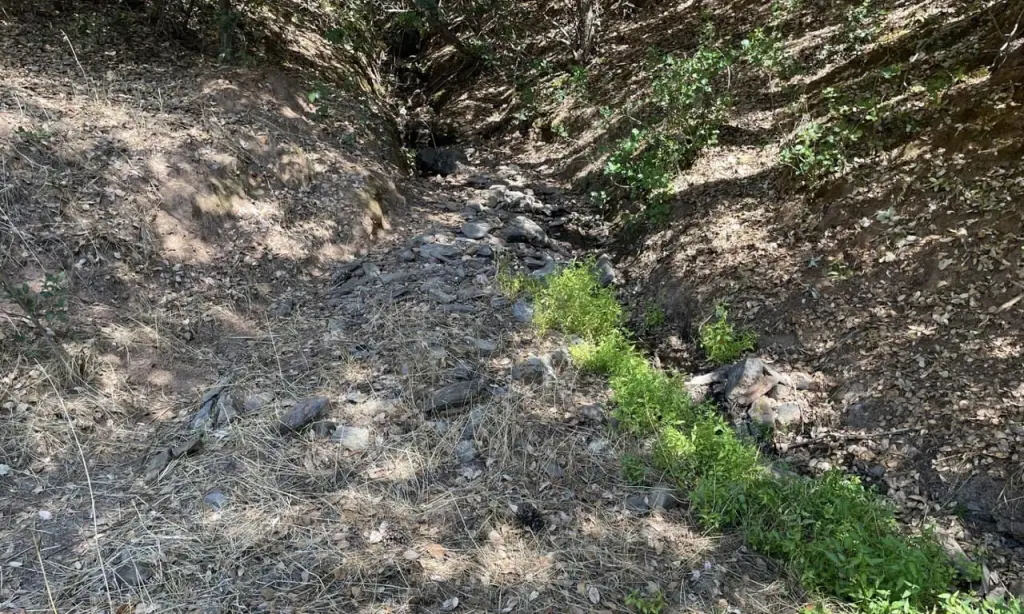 Picture 18