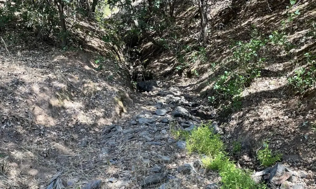Picture 14