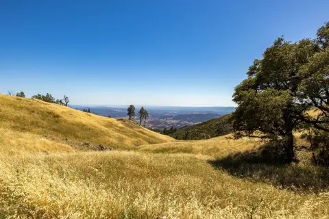 282+ Acres in Geothermal Country