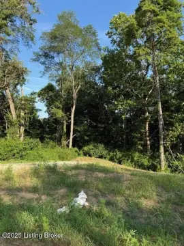 Wooded Lot in Sycamore Run