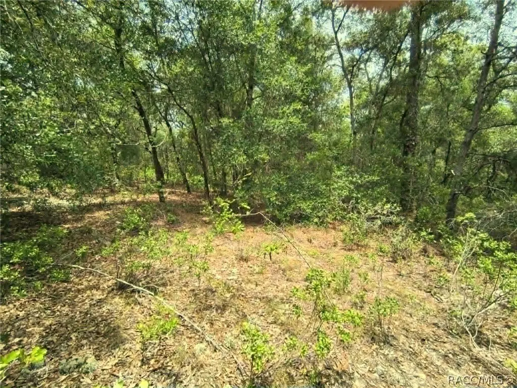 Picture 10