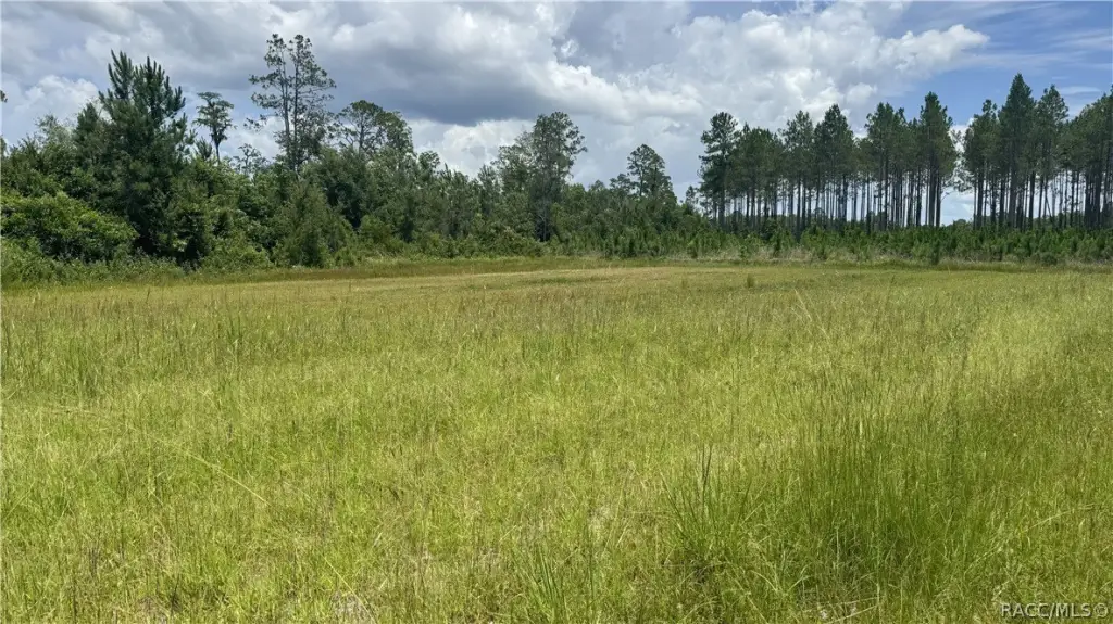 Picture 23