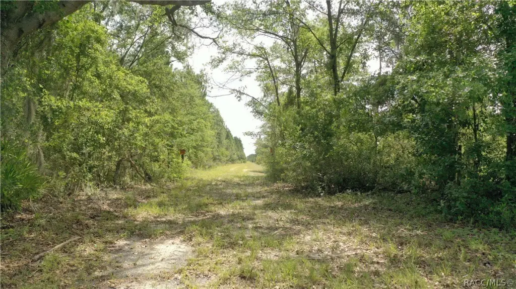 Picture 49