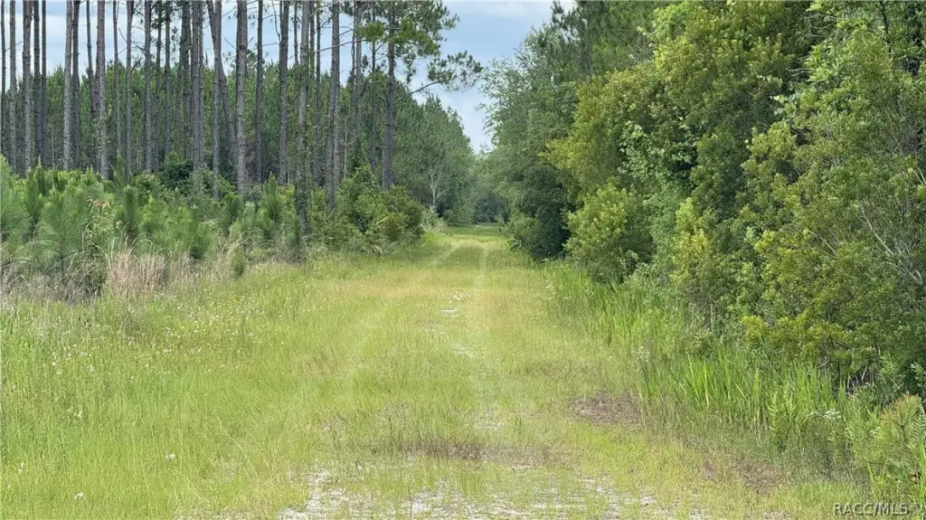 Picture 22