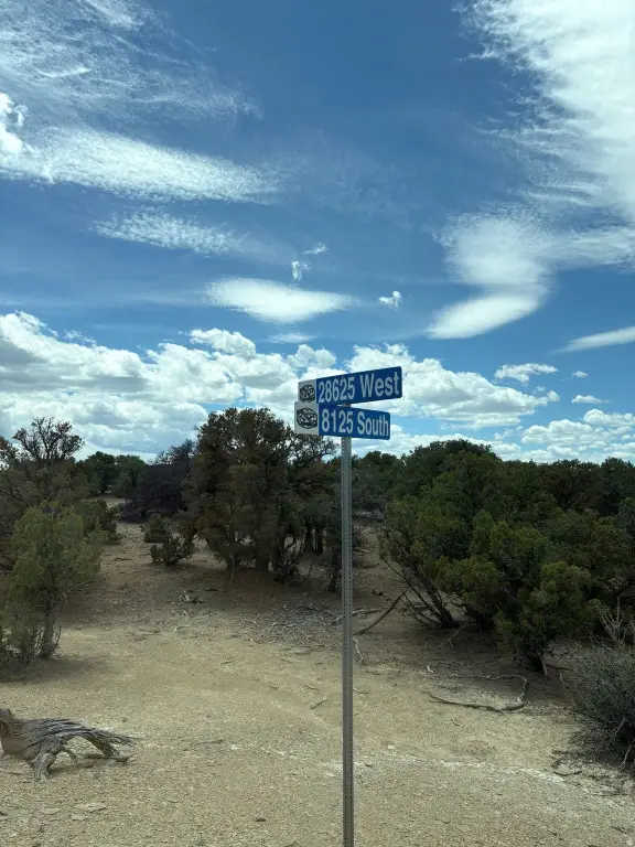 Picture 27