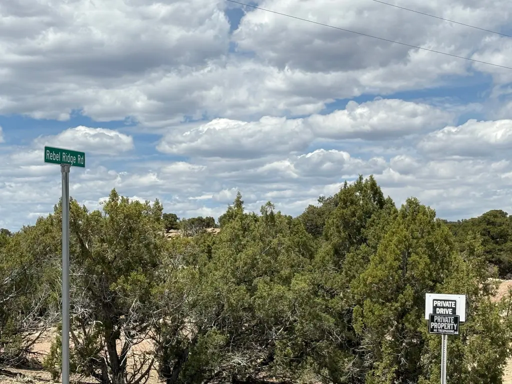 Picture 29