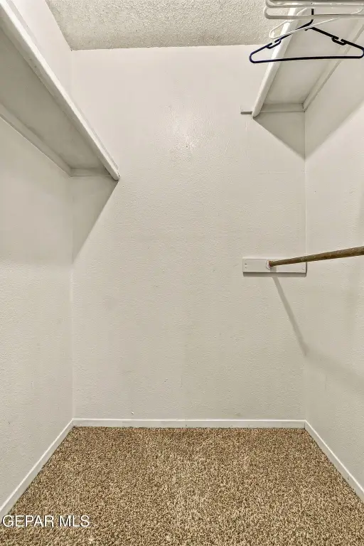 Picture 24