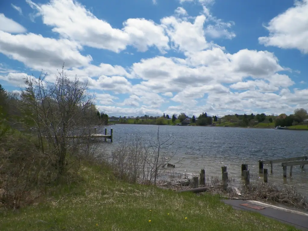 Picture 6