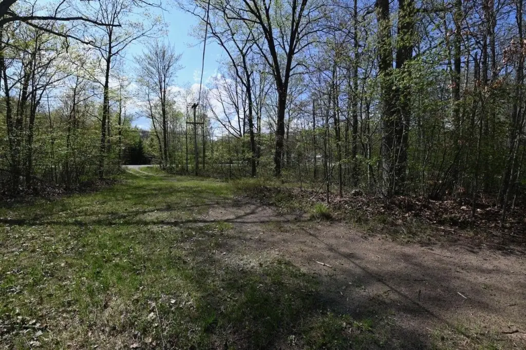 Picture 23