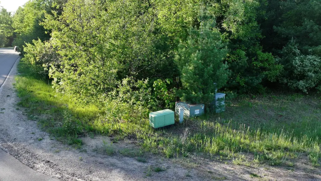 Picture 6