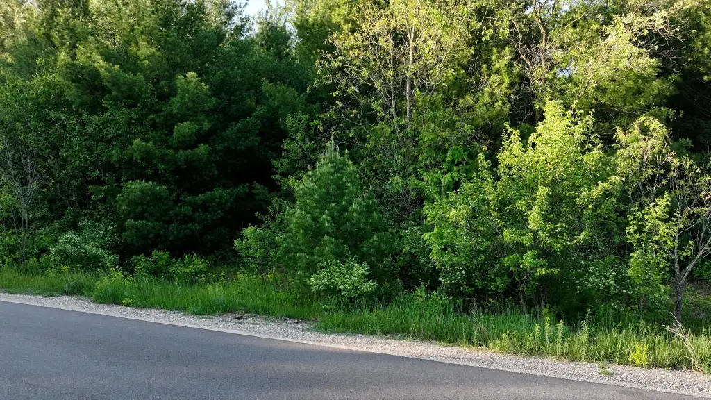 Picture 7
