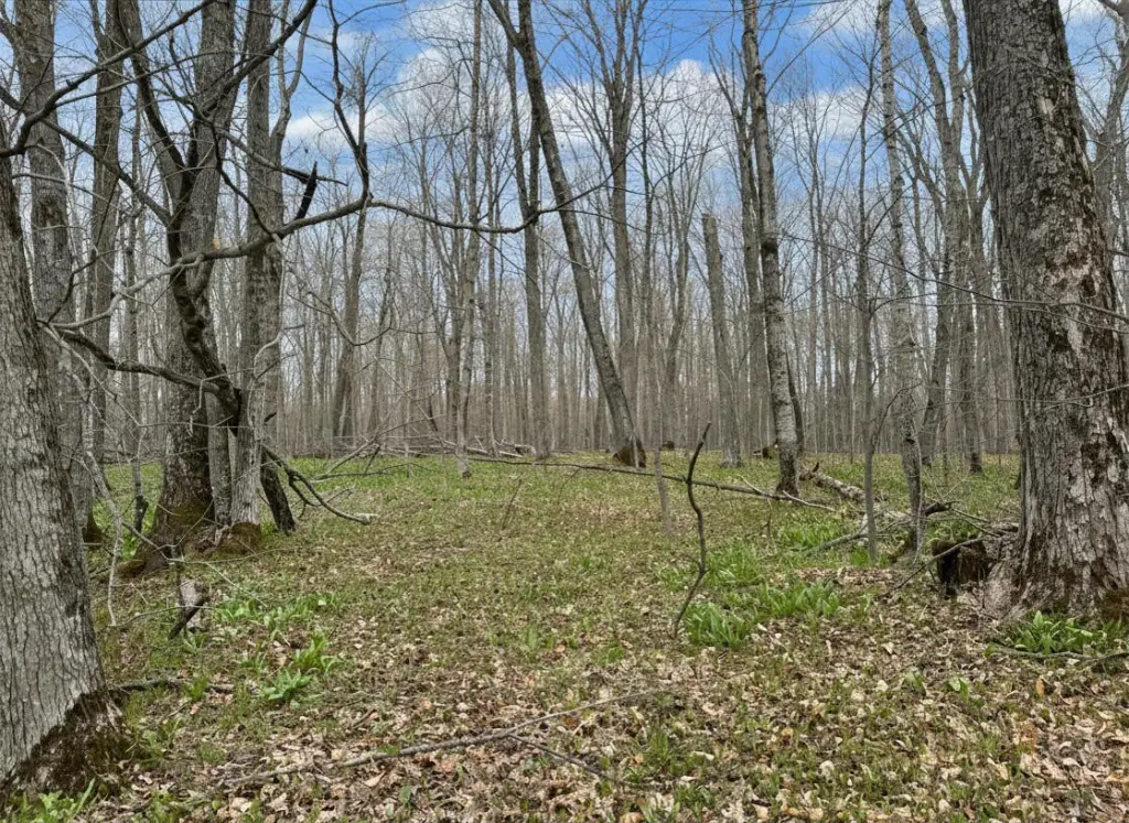 Picture 4