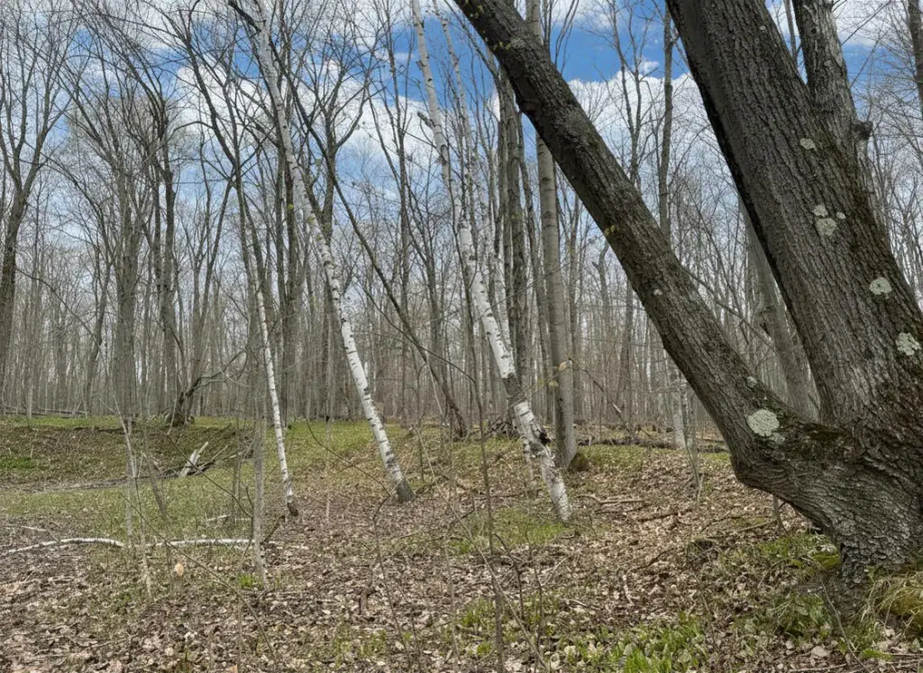 Picture 6