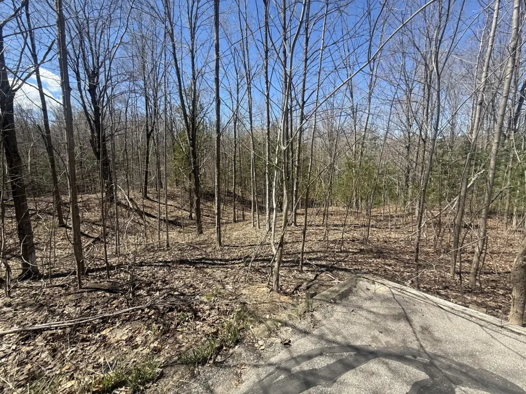 Picture 8