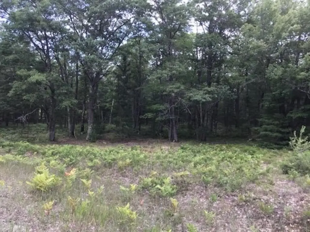Picture 17