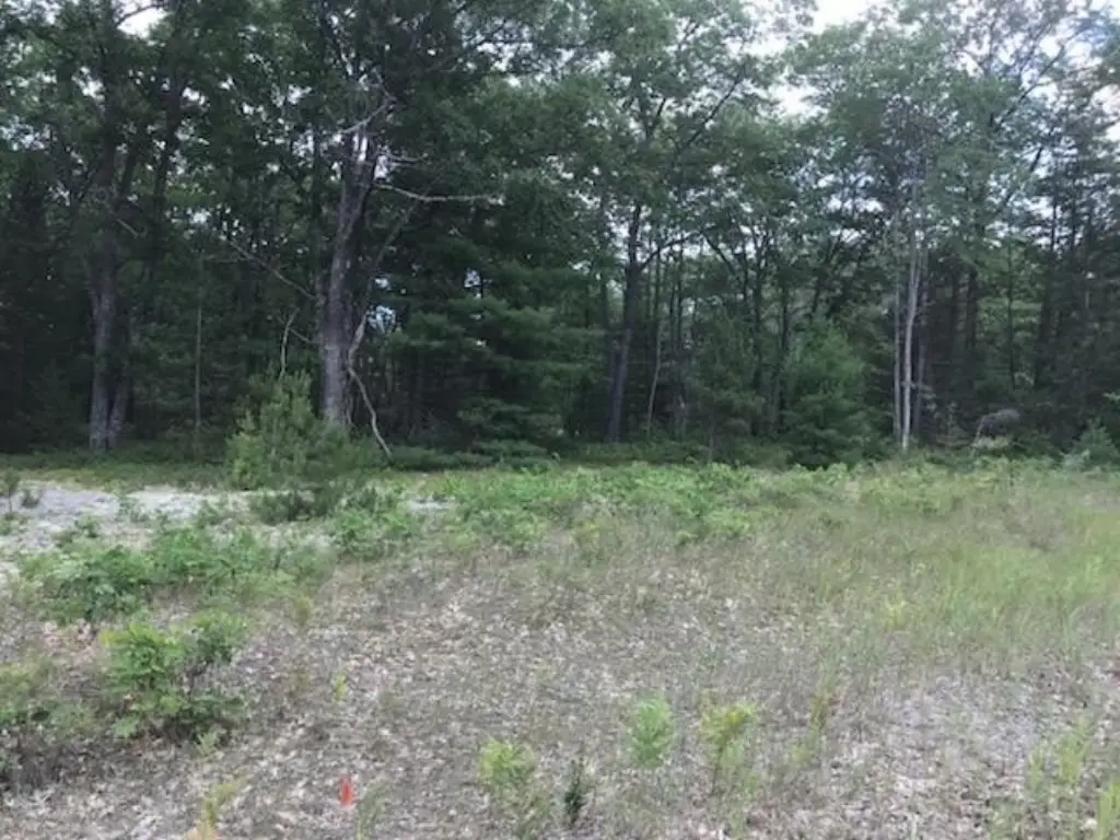 Picture 21