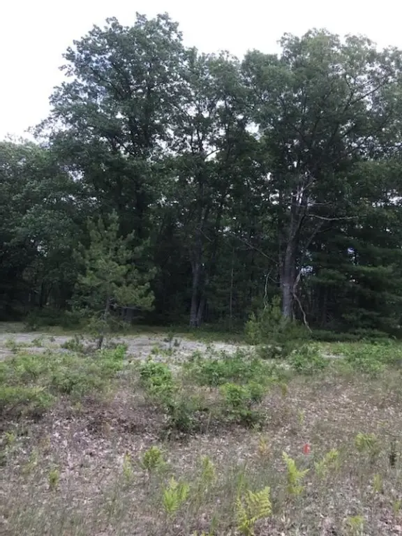 Picture 23