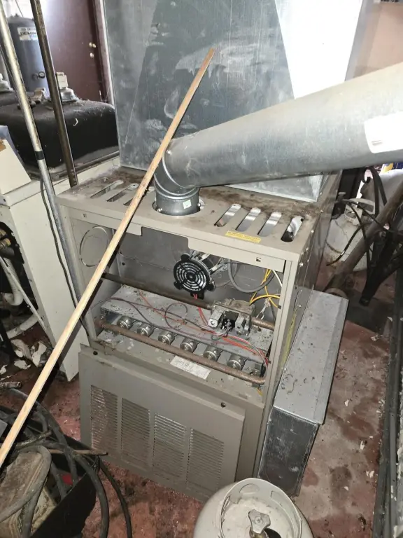 Picture 17