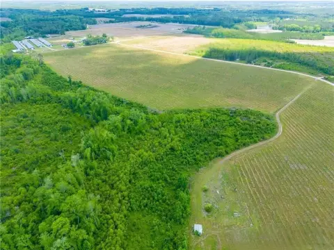 Spacious Estate Tract in Baxley, GA