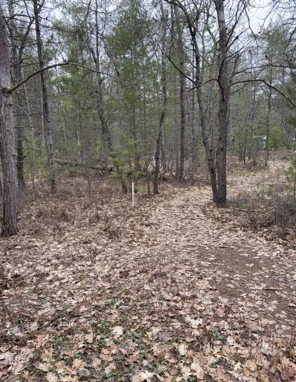 Picture 5