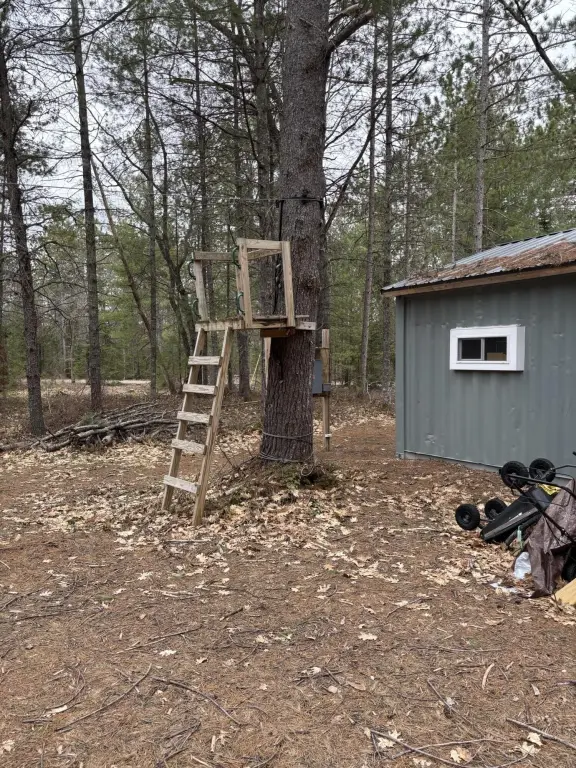 Picture 16