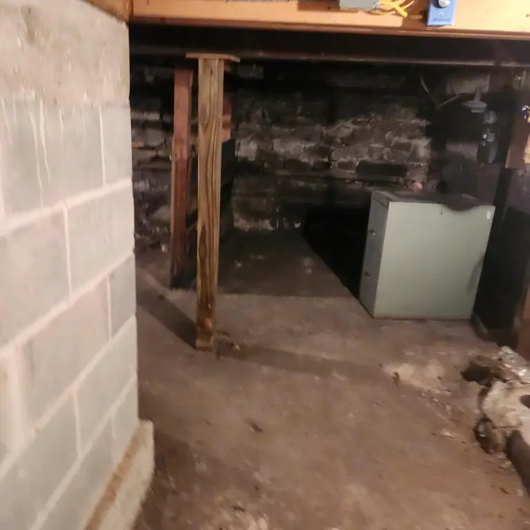 Picture 25