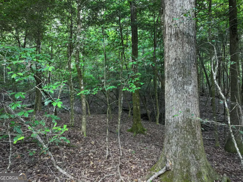 Picture 30