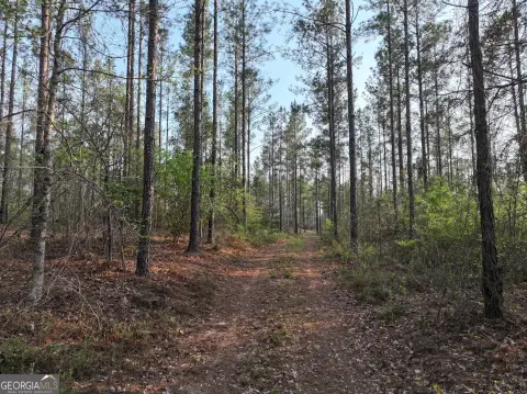 Hunting Land Along Wolf Creek
