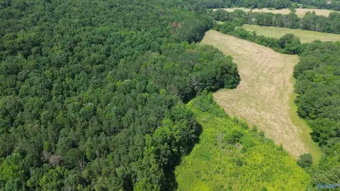 Boaz Acreage with Development Potential