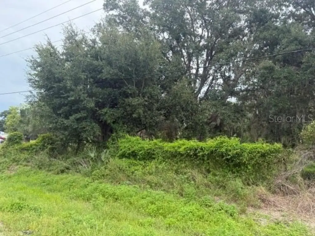 Picture 2