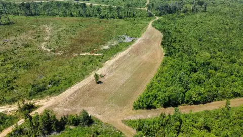 313 Acres Hunting Land, Brandon