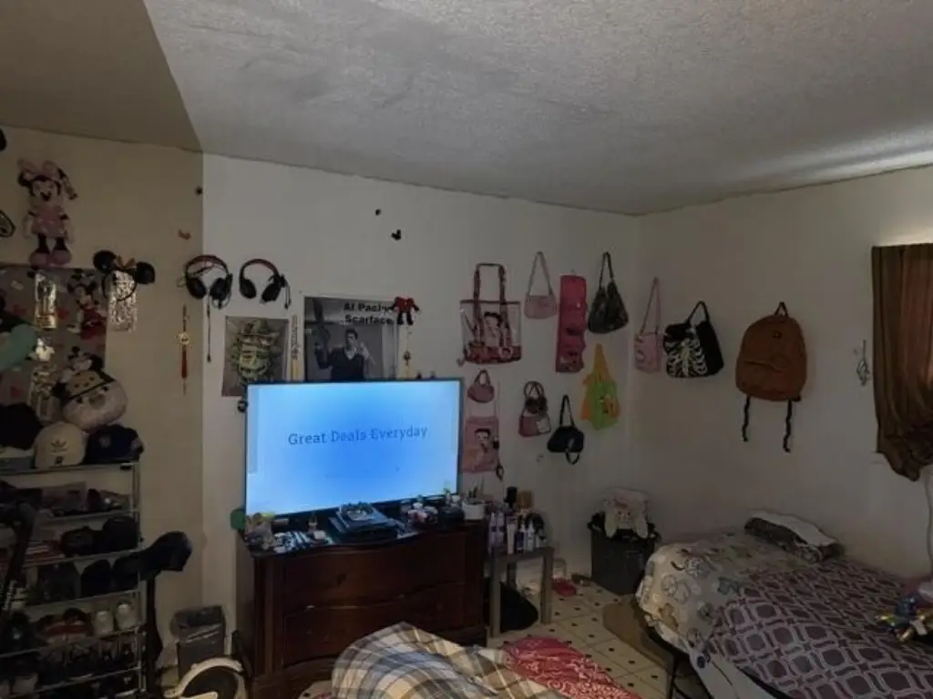 Picture 44