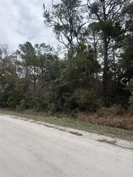 Residential Lot in Deland Area